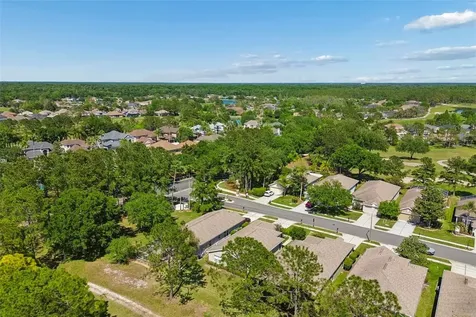 3231 Banyan Hill Lane Land O Lakes FL 34639