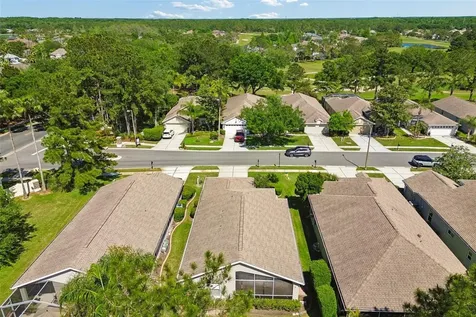 3231 Banyan Hill Lane Land O Lakes FL 34639