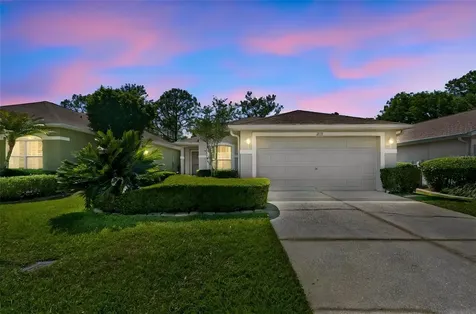 3231 Banyan Hill Lane Land O Lakes FL 34639