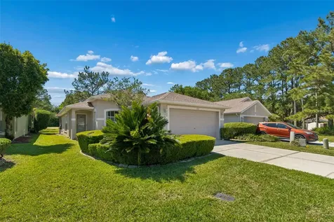 3231 Banyan Hill Lane Land O Lakes FL 34639