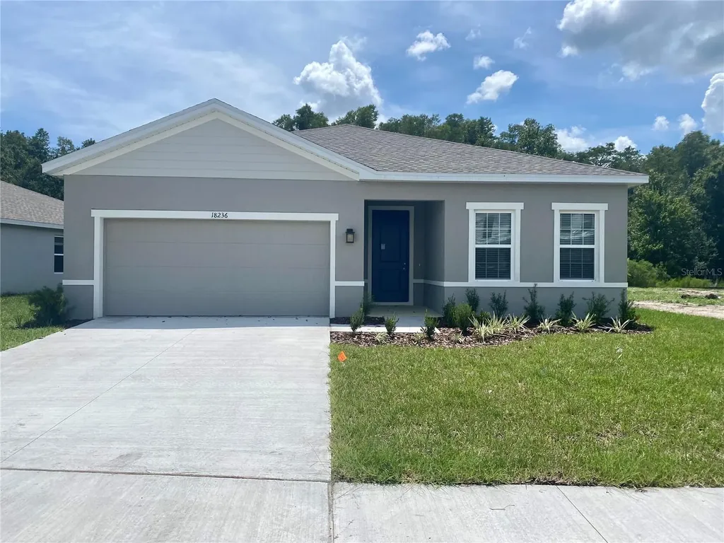 18236 Hunters Meadow Walk Land O Lakes FL 34638