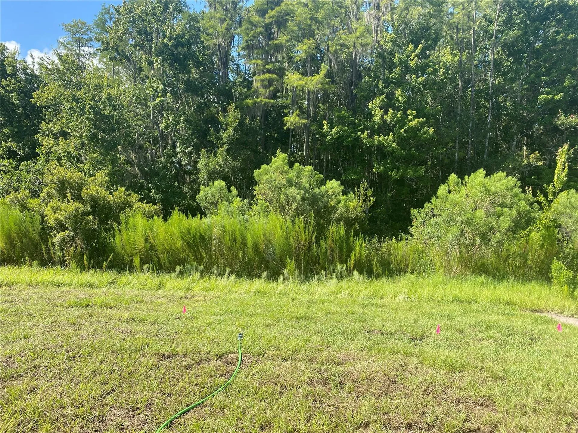 18236 Hunters Meadow Walk Land O Lakes FL 34638