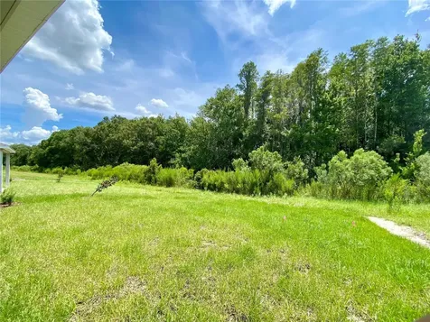 18236 Hunters Meadow Walk Land O Lakes FL 34638