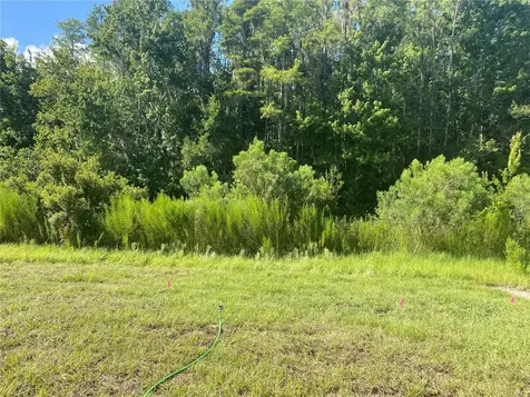 18236 Hunters Meadow Walk Land O Lakes FL 34638