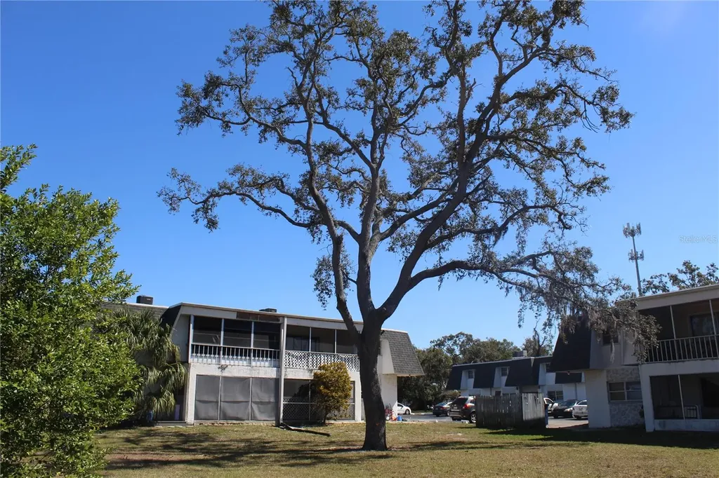 3425 Tricon Lane Holiday FL 34691