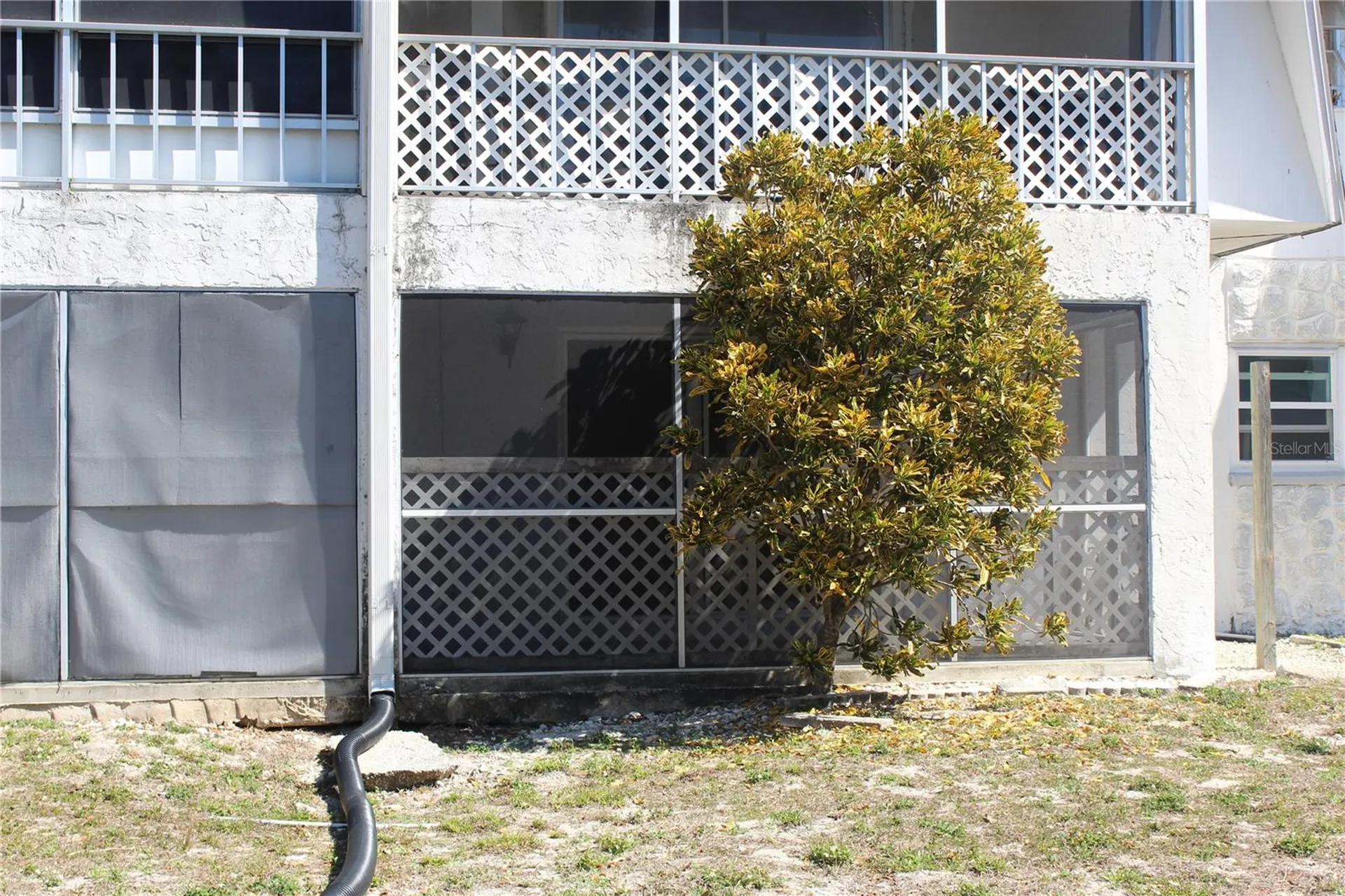 3425 Tricon Lane Holiday FL 34691