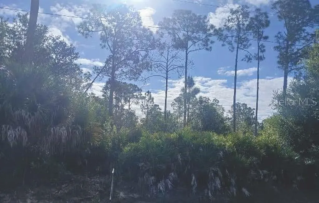 1302 Willard Avenue Lehigh Acres FL 33972