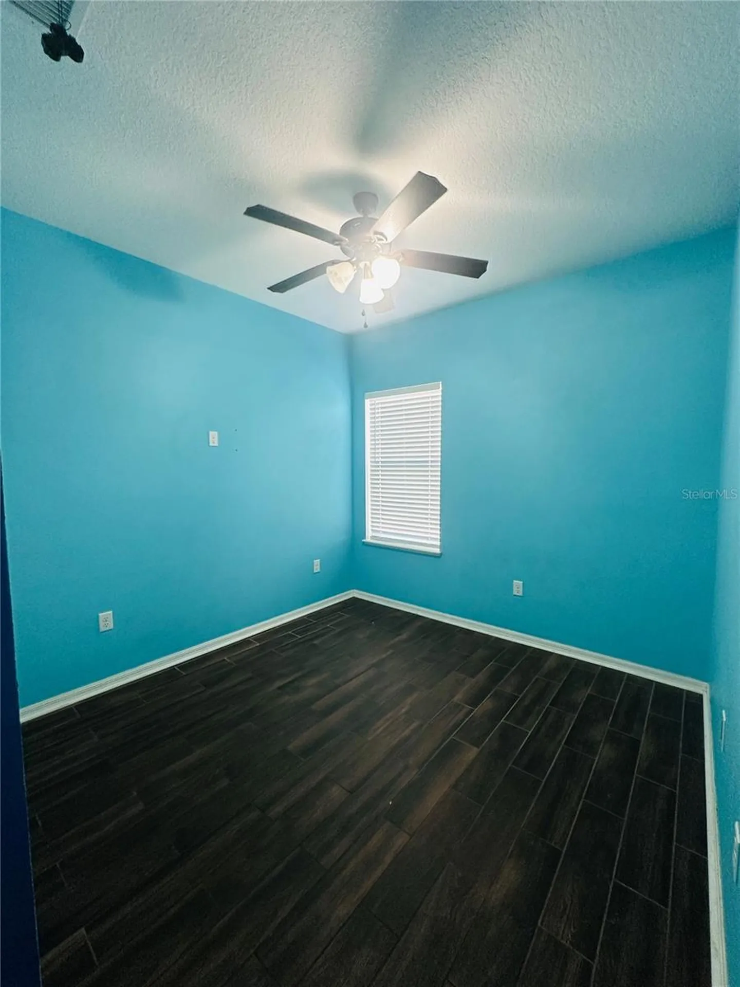 3513 Spring Creek Road Dundee FL 33838
