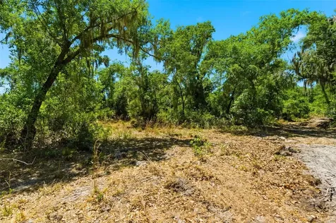 19084 Red Bird Lane Lithia FL 33547