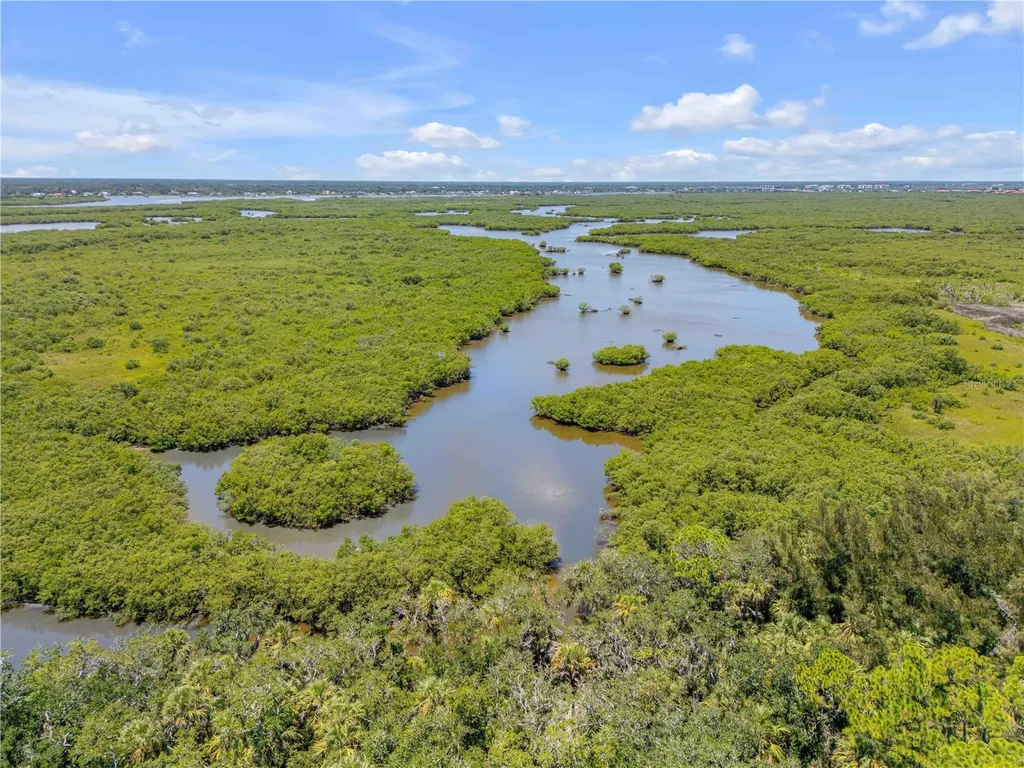 3211 Saxon Drive New Smyrna Beach FL 32169