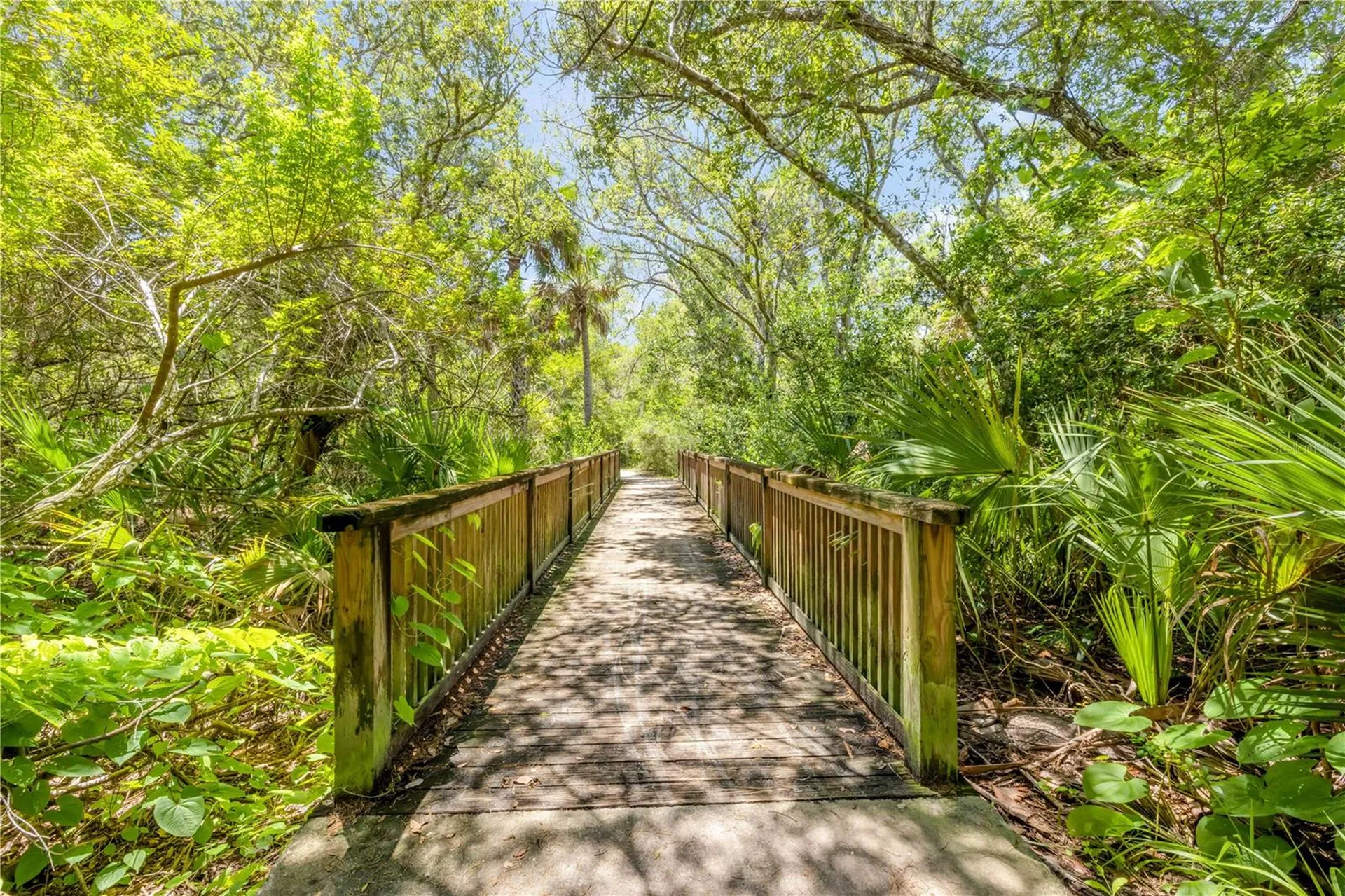 3211 Saxon Drive New Smyrna Beach FL 32169