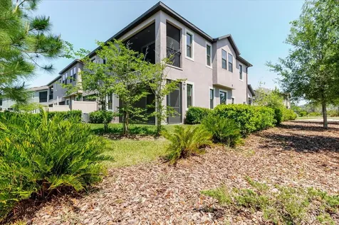4531 Almada Lane SE Wesley Chapel FL 33543