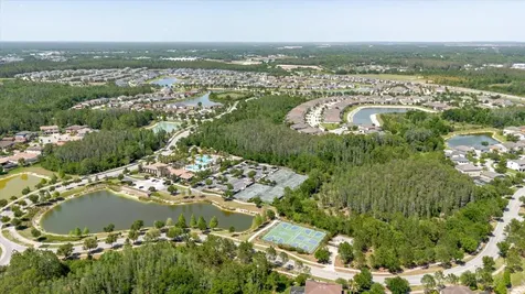 4531 Almada Lane SE Wesley Chapel FL 33543