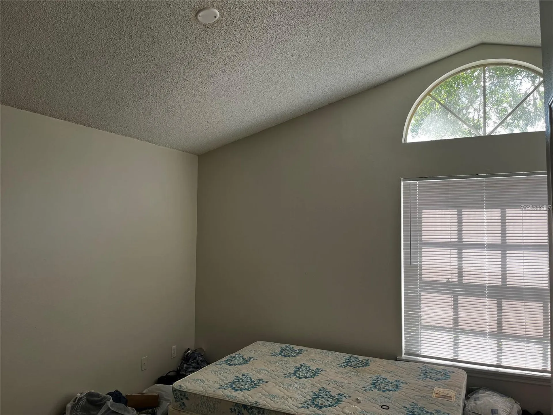 12723 Wood Trail Boulevard Tampa FL 33625