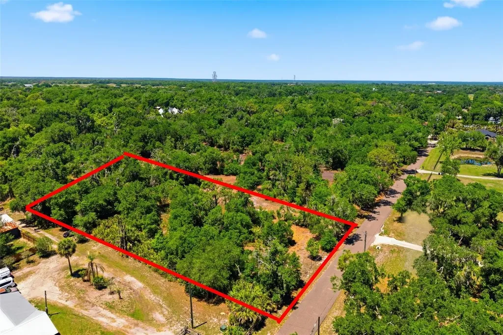 19084 Red Bird Lane Lithia FL 33547