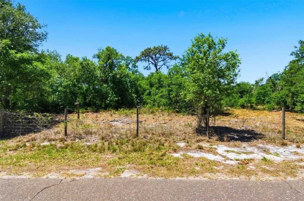 19084 Red Bird Lane Lithia FL 33547