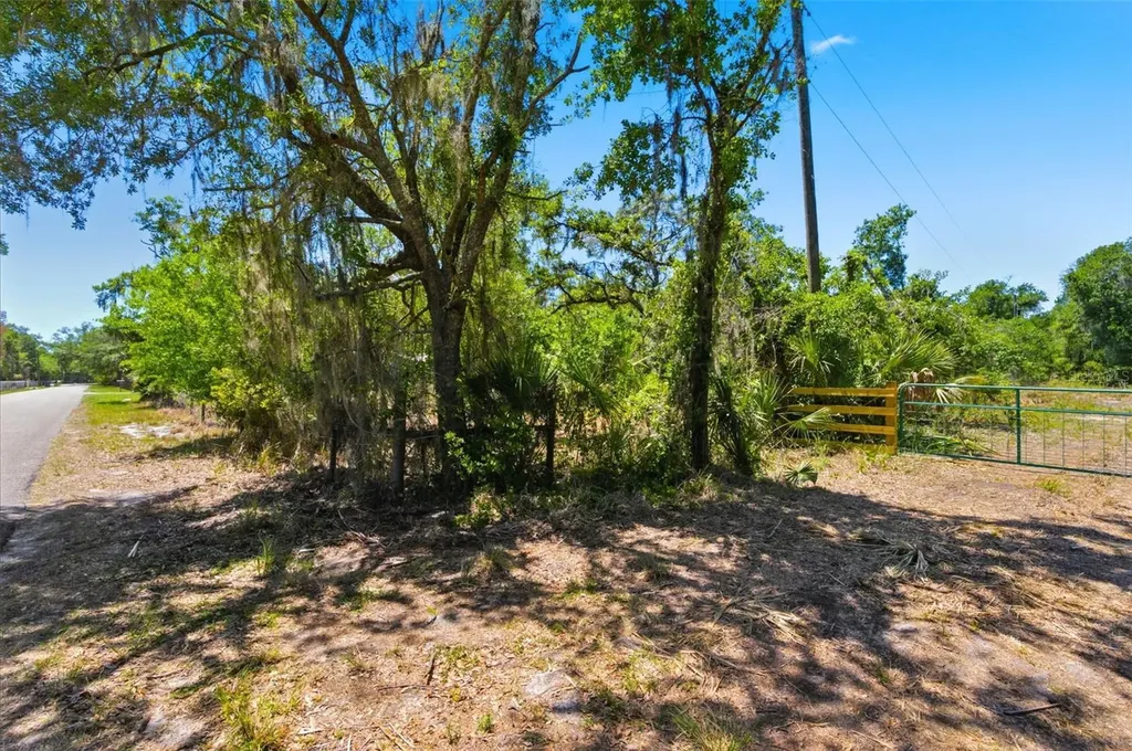 19084 Red Bird Lane Lithia FL 33547