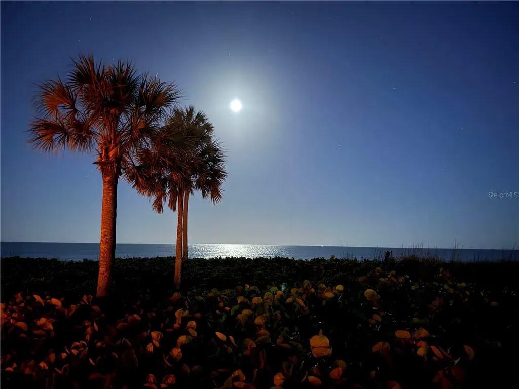 5591 Gulf Of Mexico Drive Longboat Key FL 34228