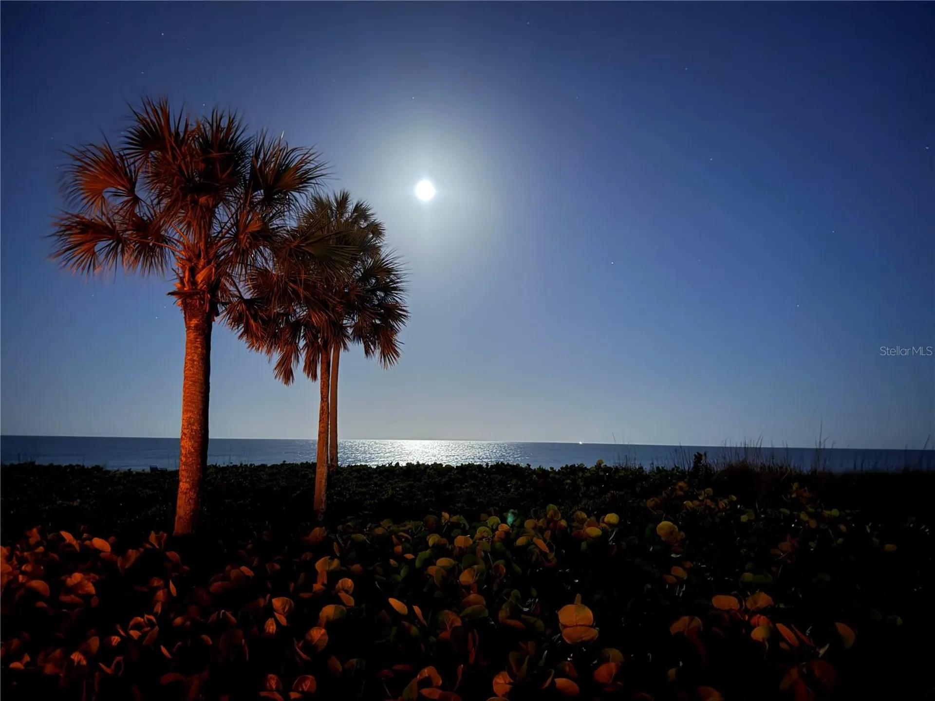5591 Gulf Of Mexico Drive Longboat Key FL 34228