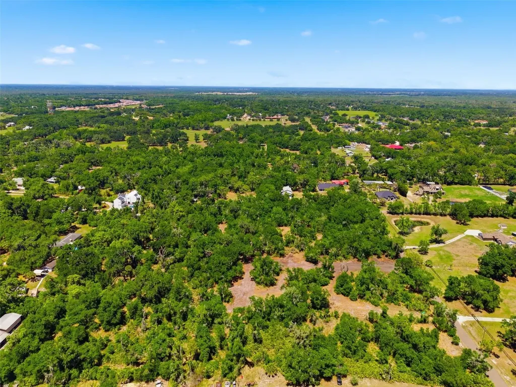 19084 Red Bird Lane Lithia FL 33547