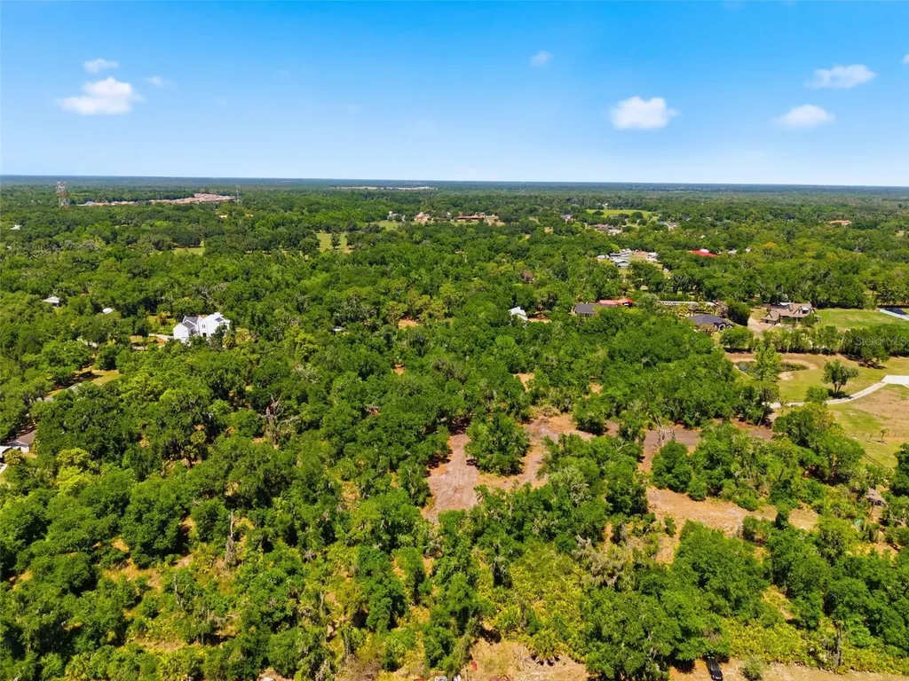 19084 Red Bird Lane Lithia FL 33547