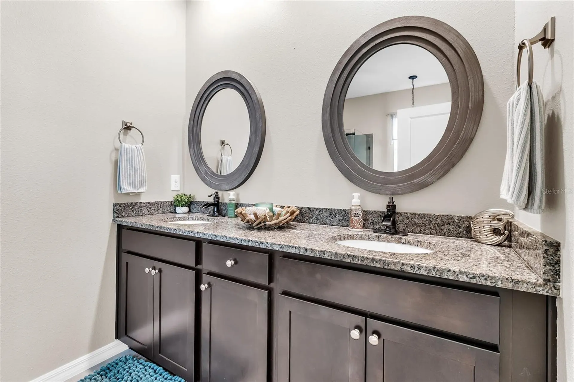 13225 Waterleaf Garden Circle Riverview FL 33579