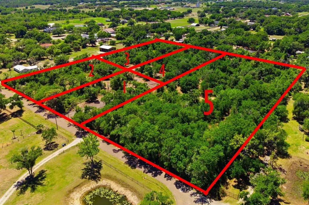 19084 Red Bird Lane Lithia FL 33547
