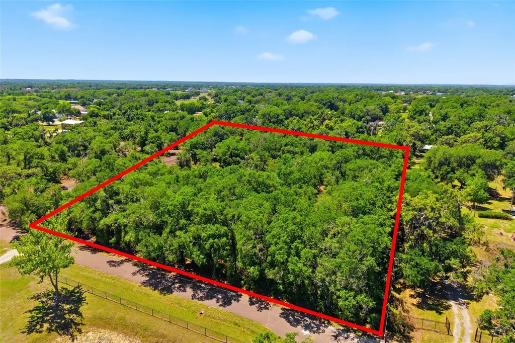 19084 Red Bird Lane Lithia FL 33547