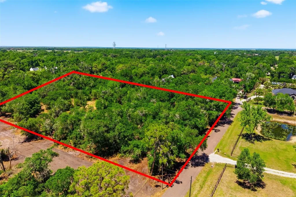 19084 Red Bird Lane Lithia FL 33547