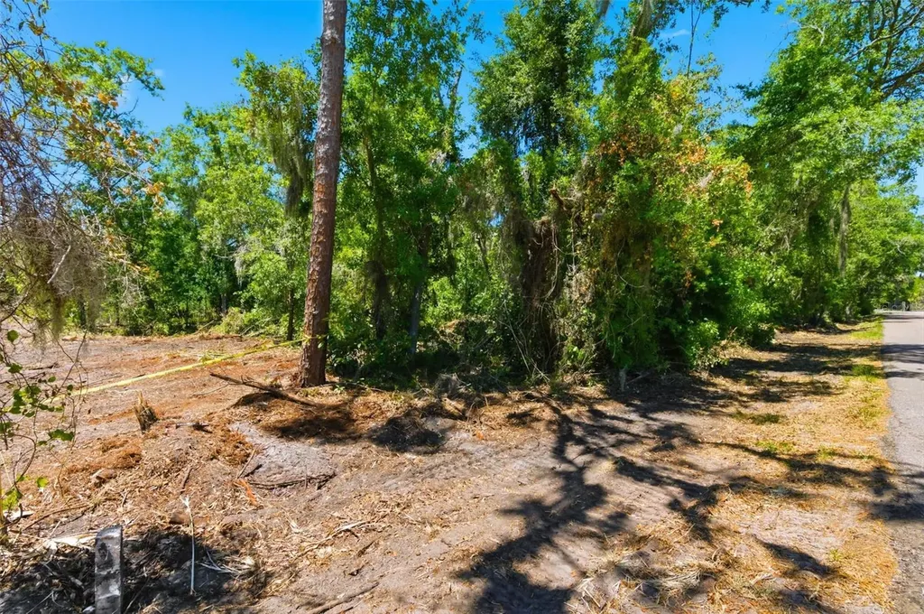 19084 Red Bird Lane Lithia FL 33547