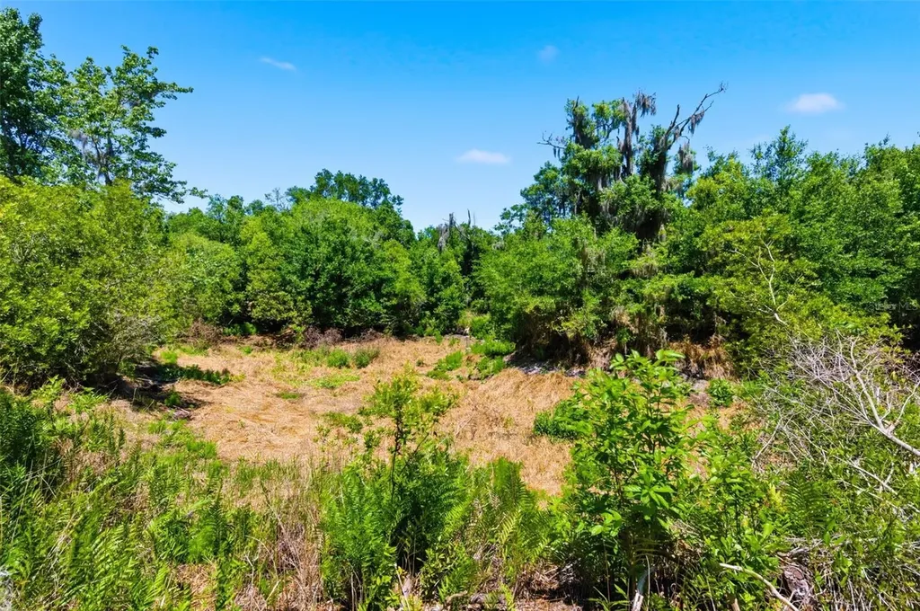 19084 Red Bird Lane Lithia FL 33547