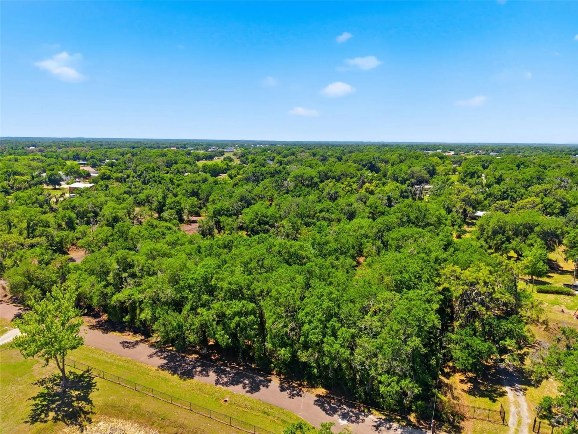 19084 Red Bird Lane Lithia FL 33547