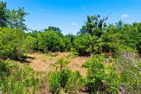 19084 Red Bird Lane Lithia FL 33547
