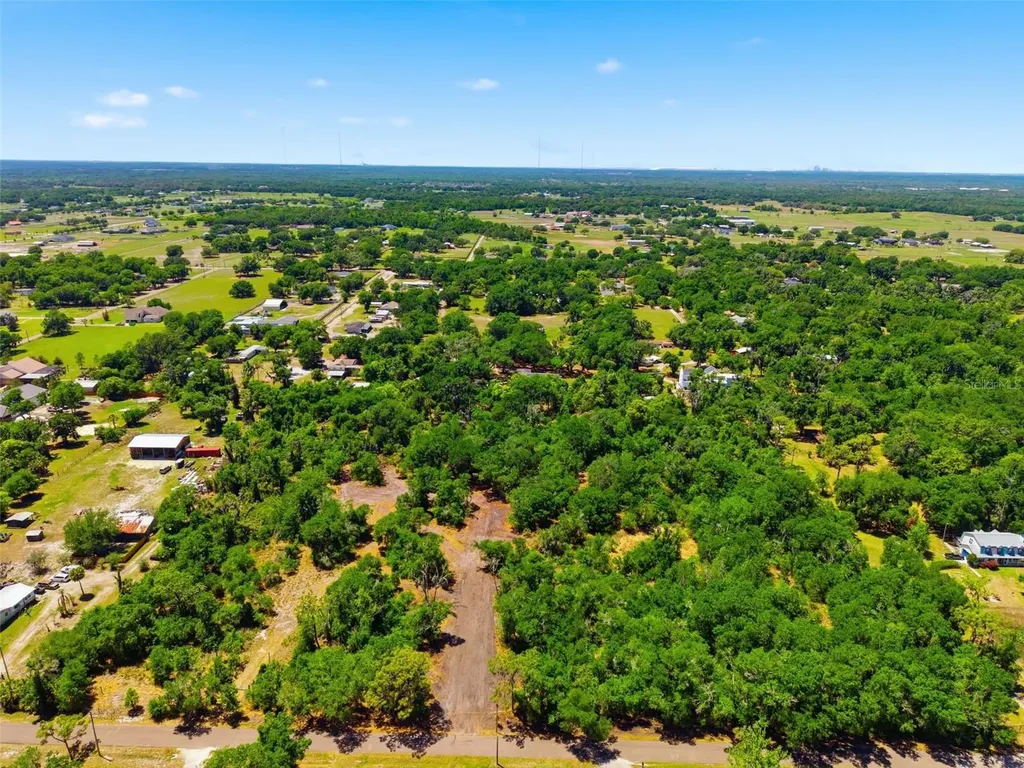 19084 Red Bird Lane Lithia FL 33547