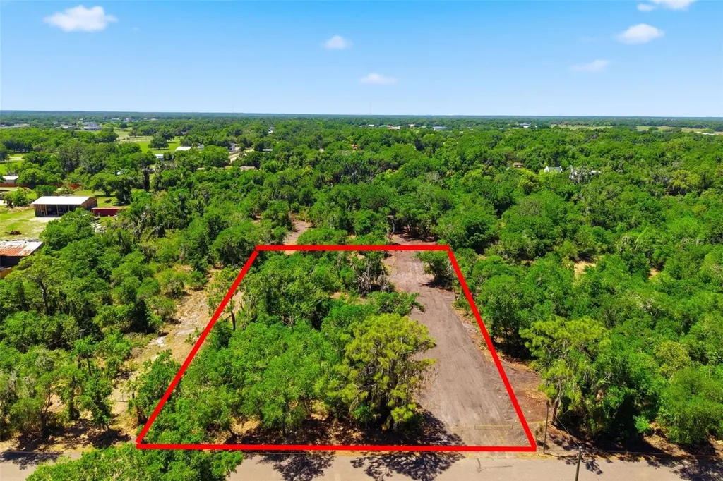 19084 Red Bird Lane Lithia FL 33547