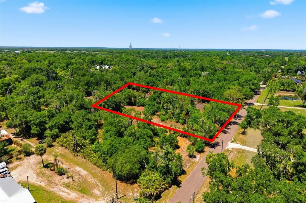 19084 Red Bird Lane Lithia FL 33547