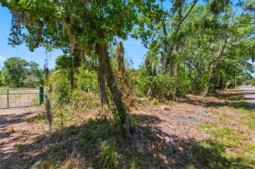 19084 Red Bird Lane Lithia FL 33547