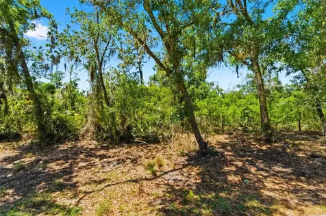 19084 Red Bird Lane Lithia FL 33547