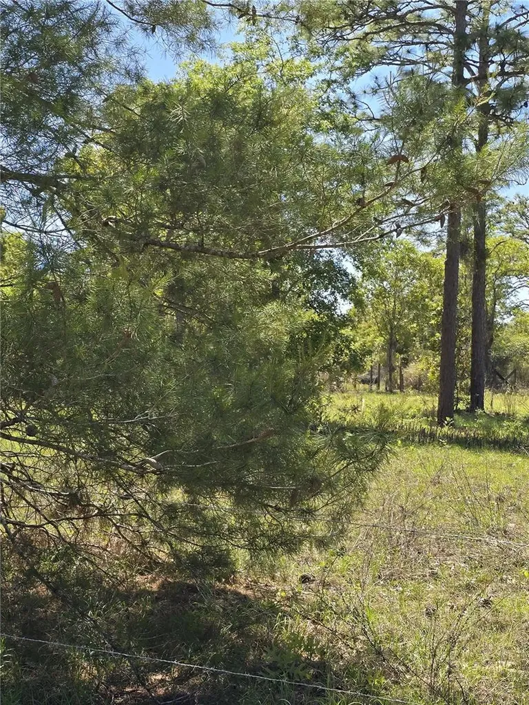 00 NE 129th Avenue Williston FL 32696