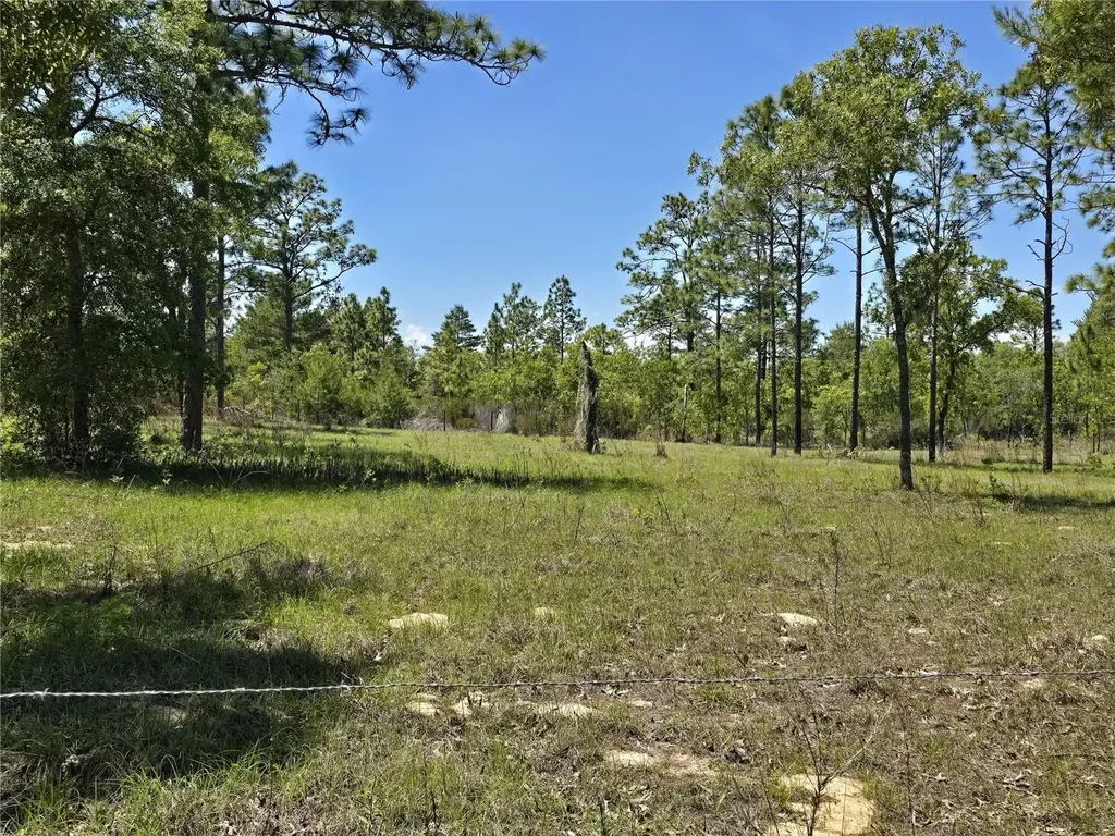 00 NE 129th Avenue Williston FL 32696
