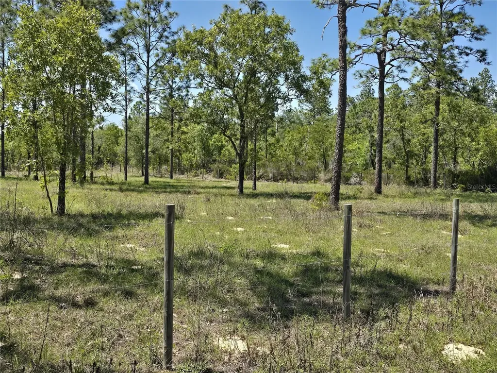 00 NE 129th Avenue Williston FL 32696