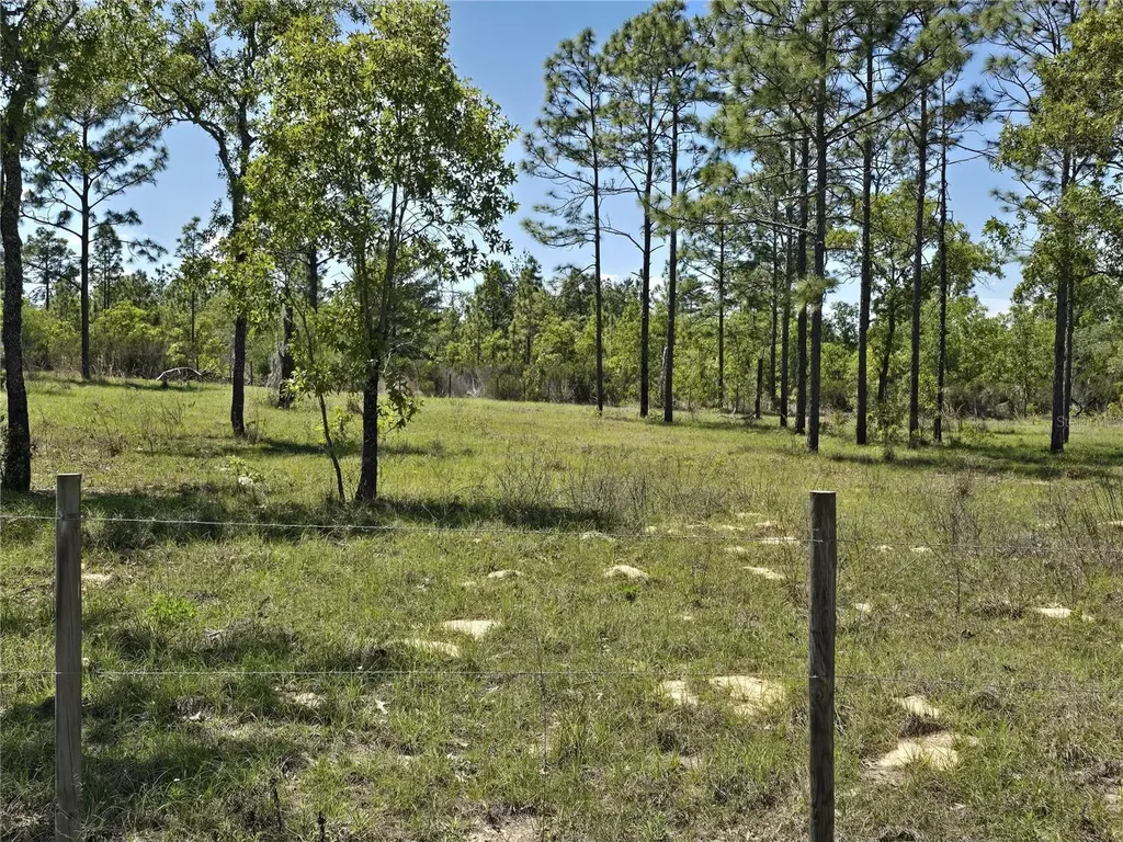 00 NE 129th Avenue Williston FL 32696