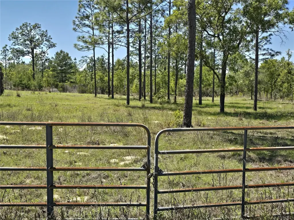 00 NE 129th Avenue Williston FL 32696