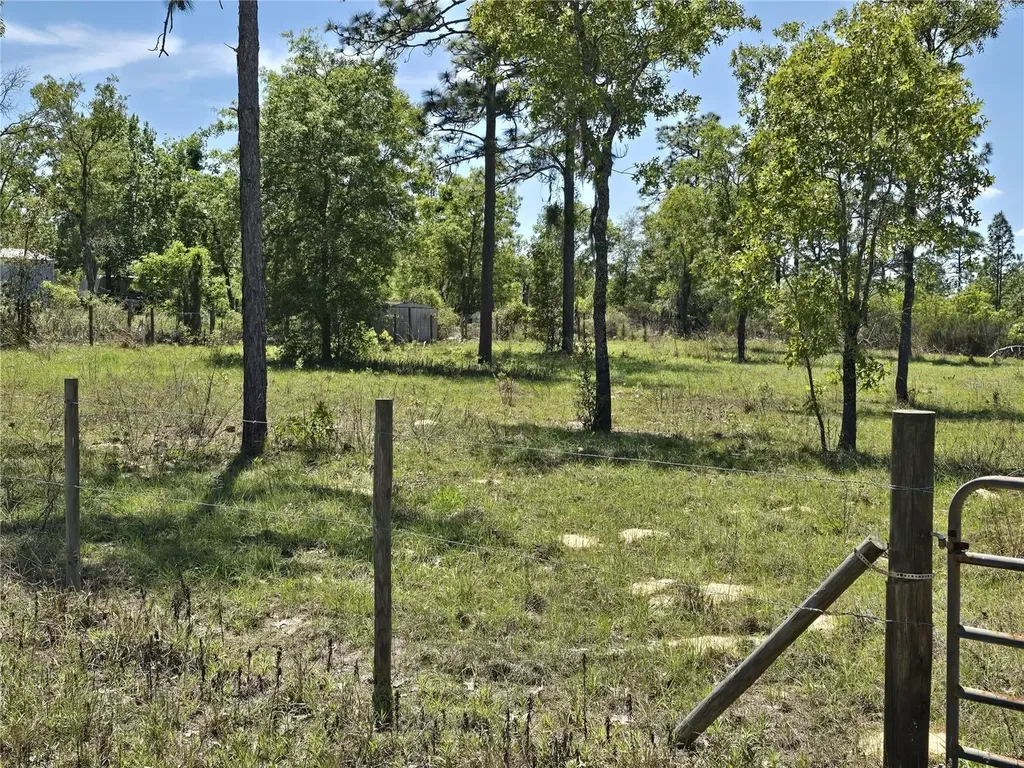 00 NE 129th Avenue Williston FL 32696