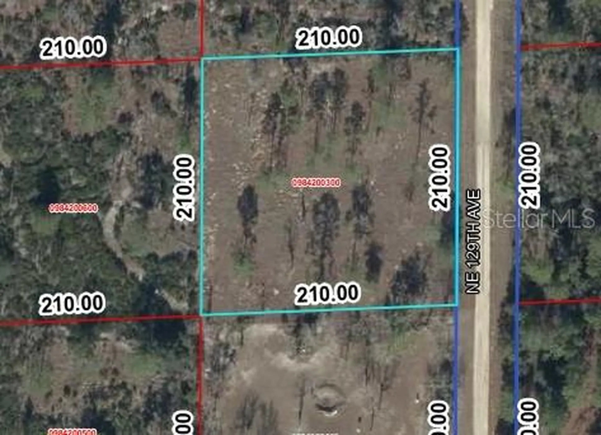 00 NE 129th Avenue Williston FL 32696