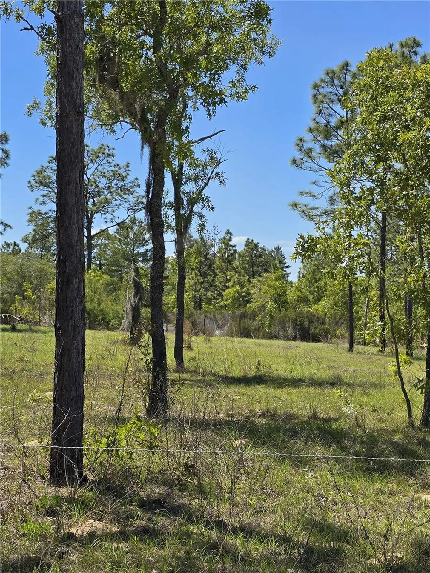 00 NE 129th Avenue Williston FL 32696