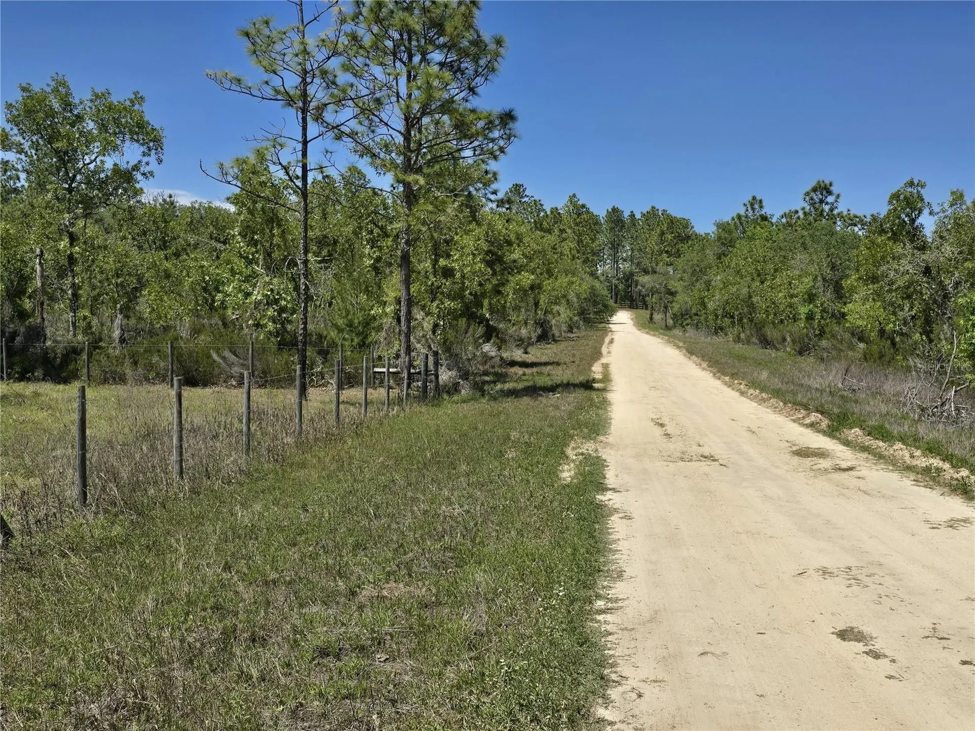 00 NE 129th Avenue Williston FL 32696