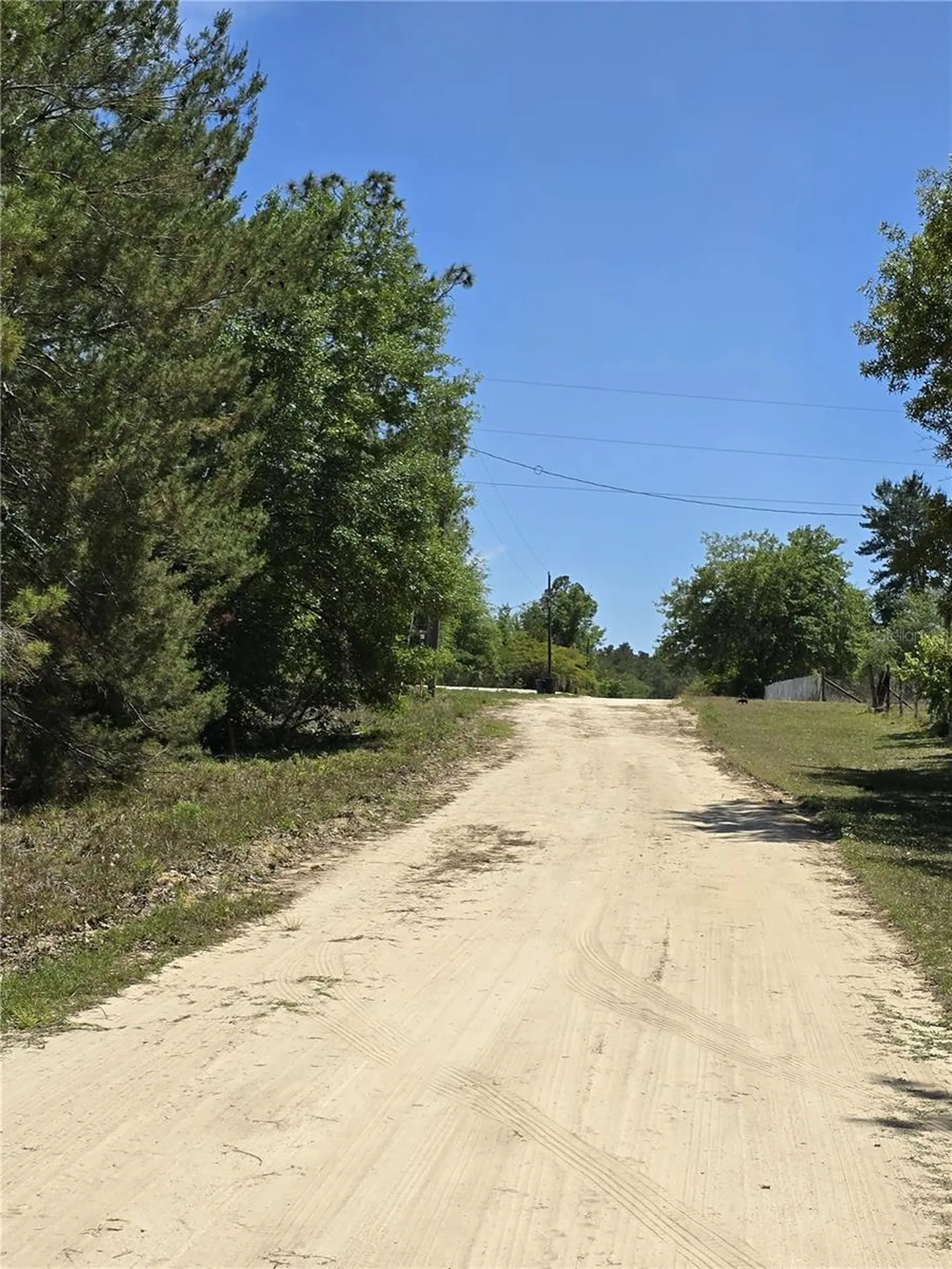 00 NE 129th Avenue Williston FL 32696