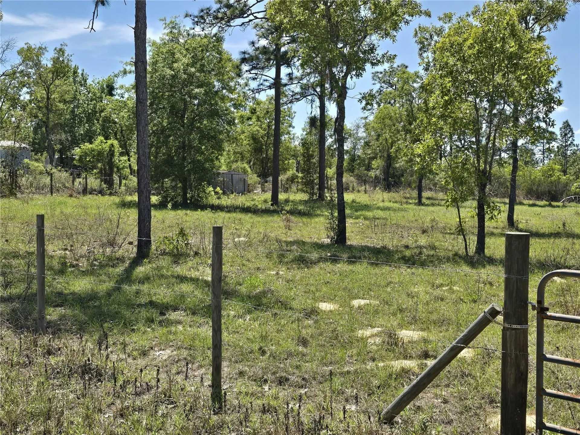 00 NE 129th Avenue Williston FL 32696