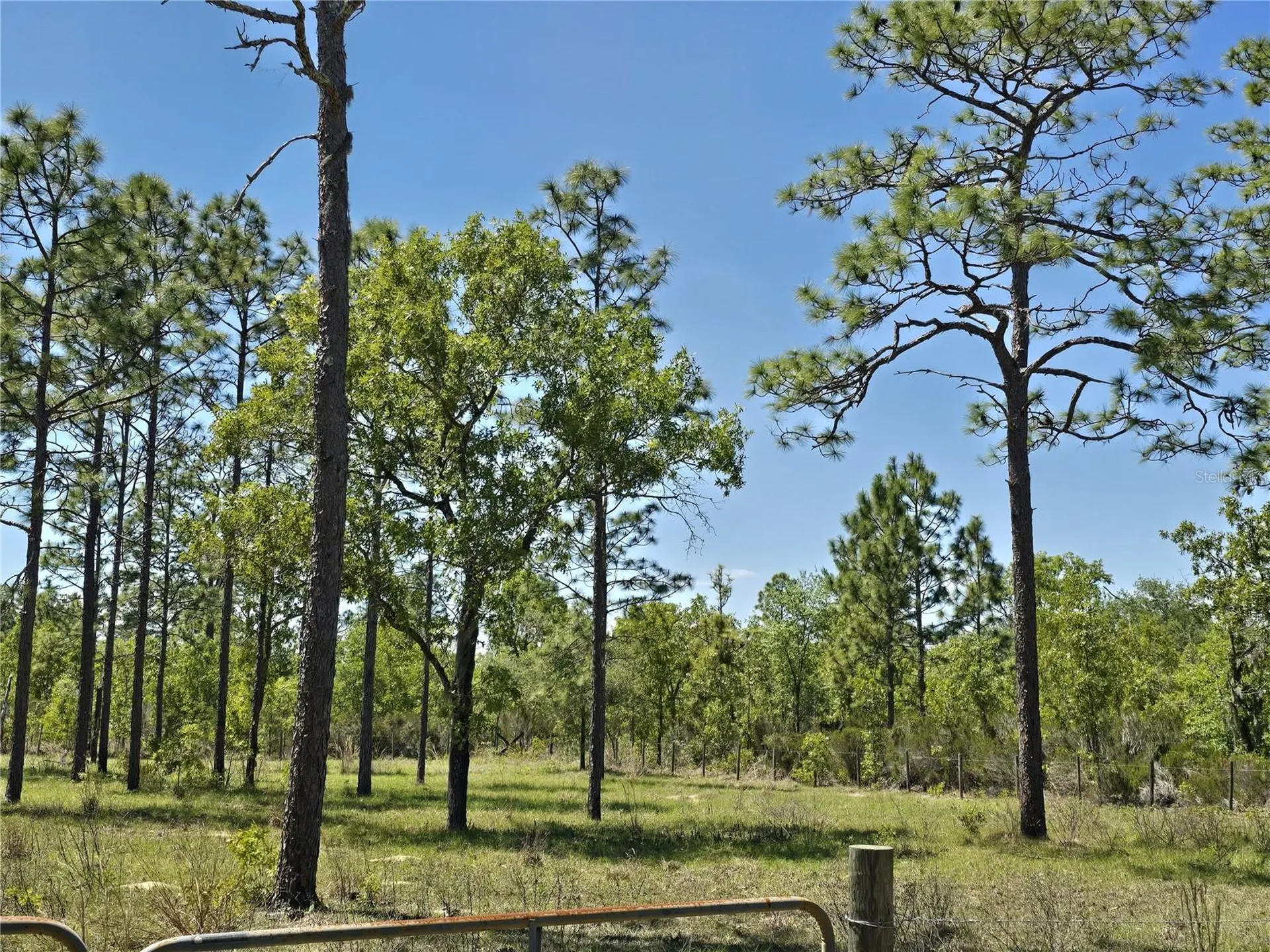 00 NE 129th Avenue Williston FL 32696